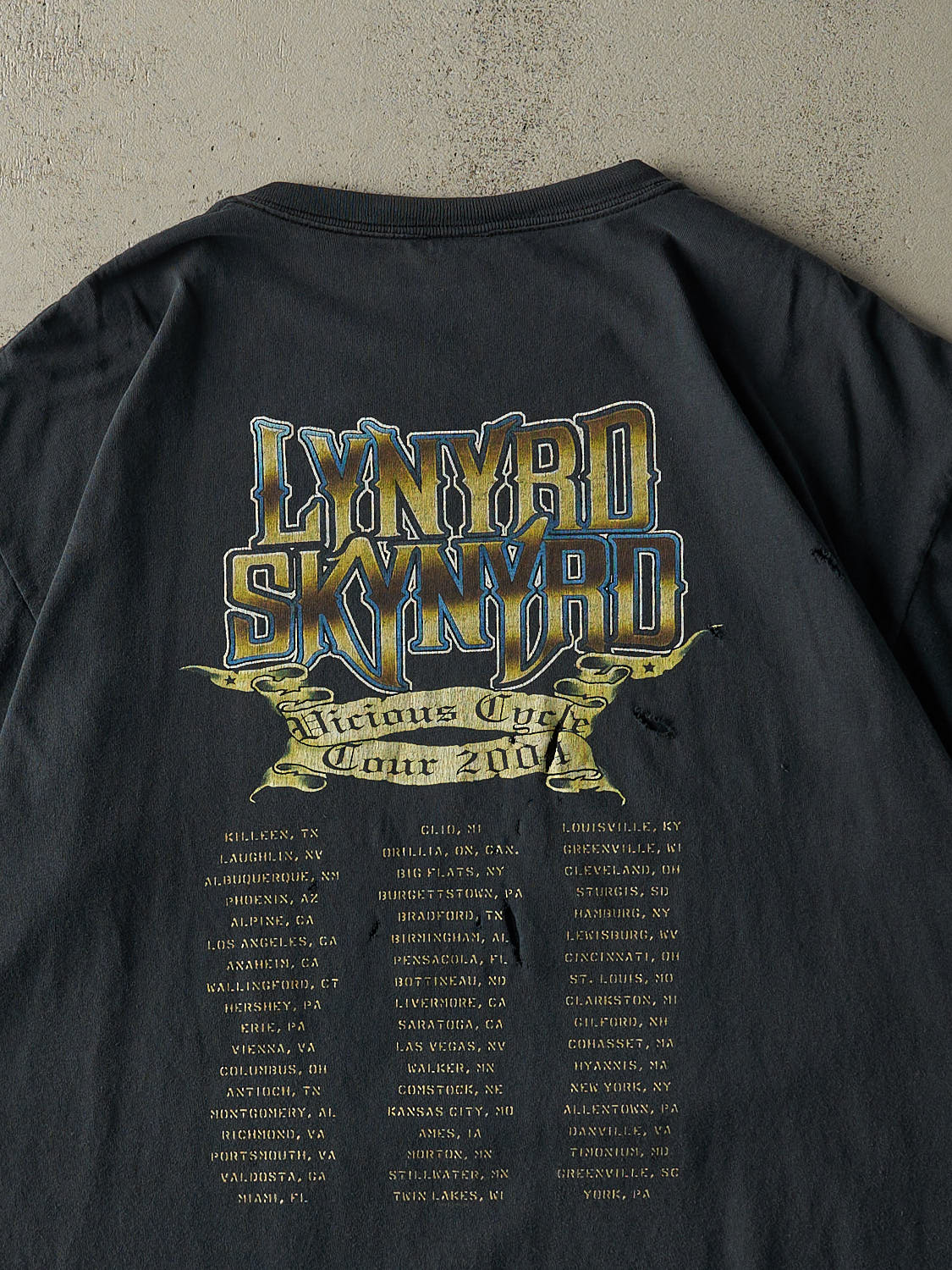 Vintage 04' Faded Black Lynyrd Skynyrd Tee (XL/XXL) - Image 4