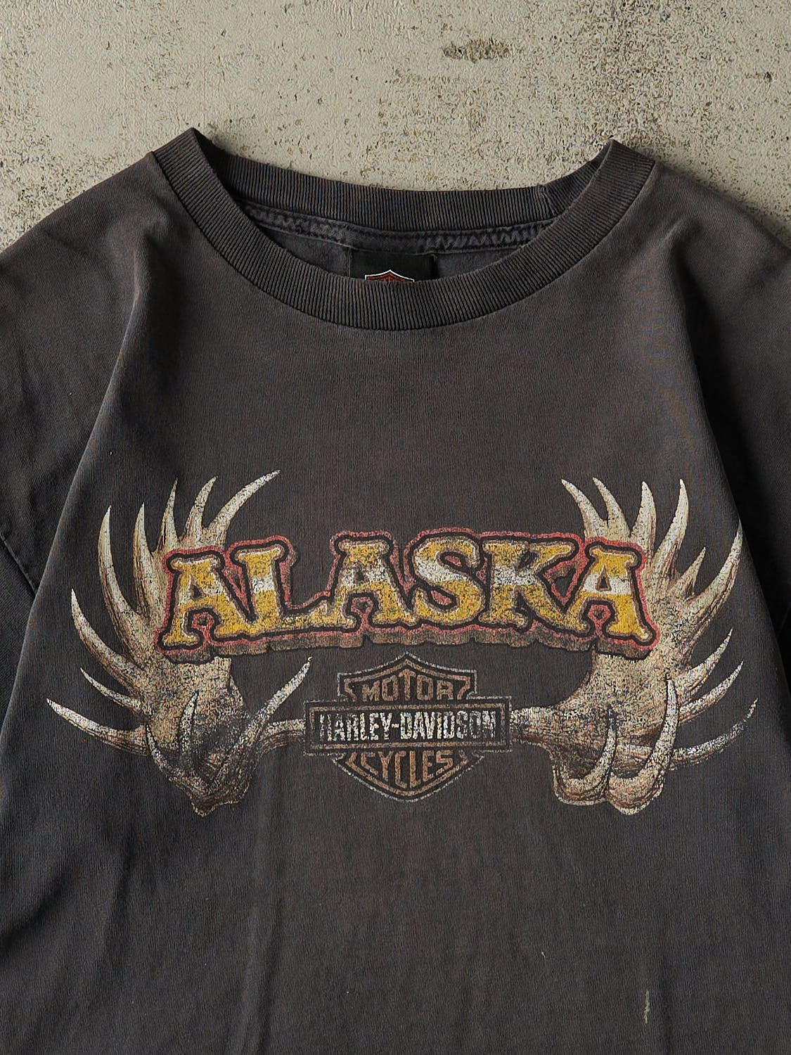 Vintage 13' Faded Black Harley Davidson Denali Park Alaska Tee (M/L) - Image 3