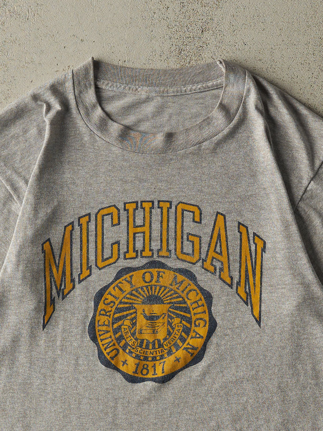Vintage 80s Grey University of Michigan Single Stitch Tee (S/M) - Image 2
