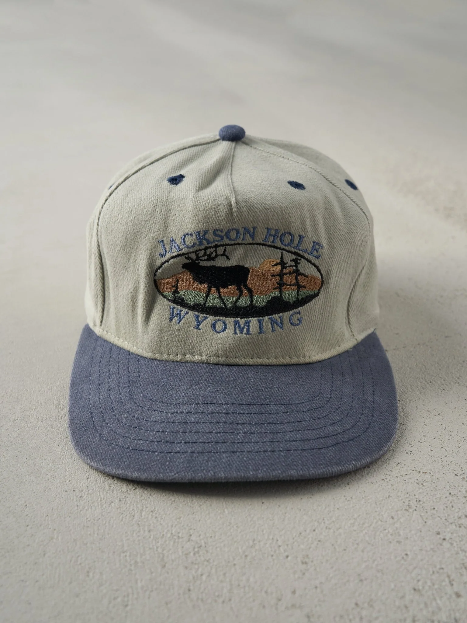 Vintage 90s Beige and Blue Jackson Hole Wyoming Strapback Hat