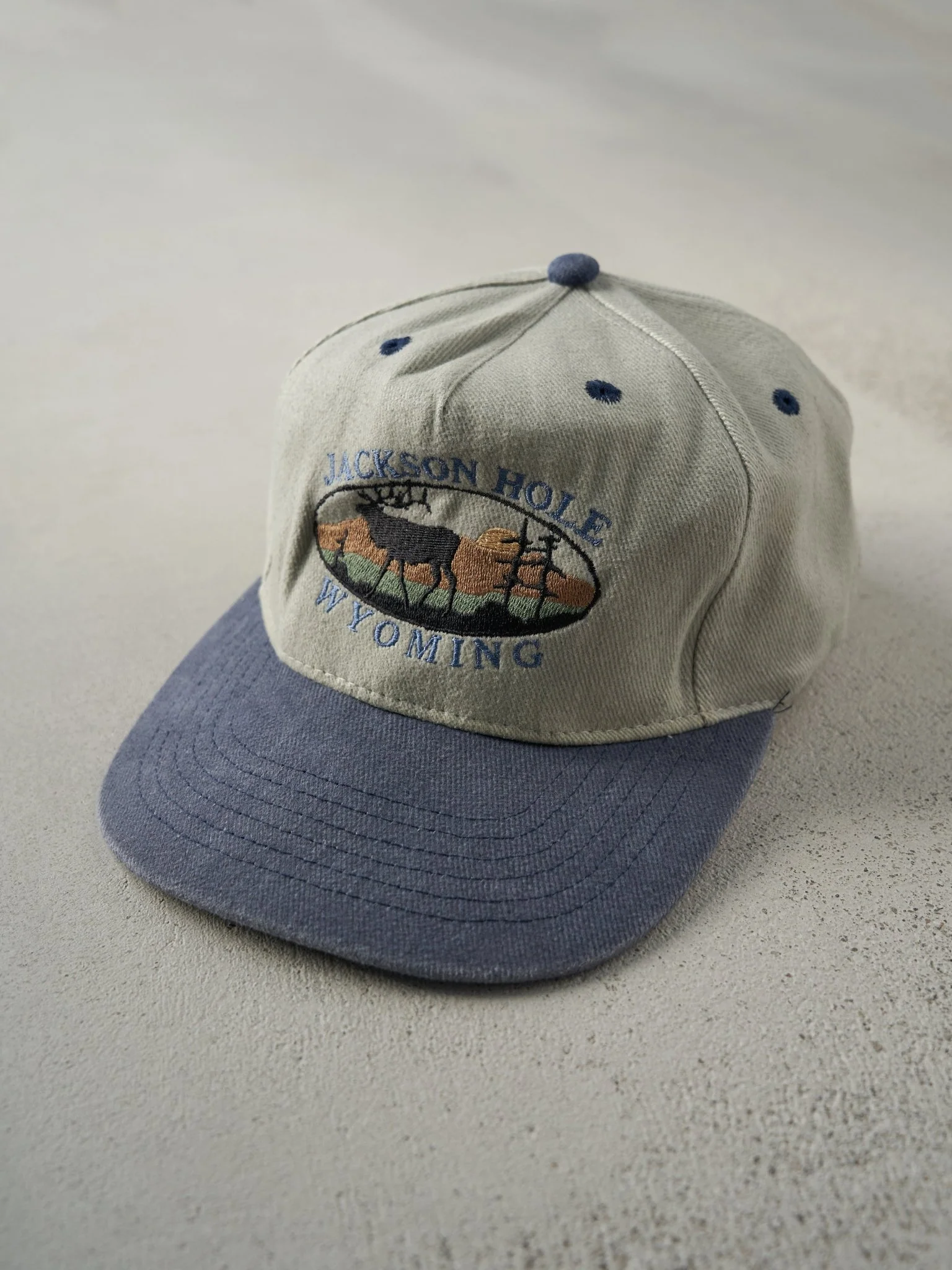 Vintage 90s Beige and Blue Jackson Hole Wyoming Strapback Hat - Image 2