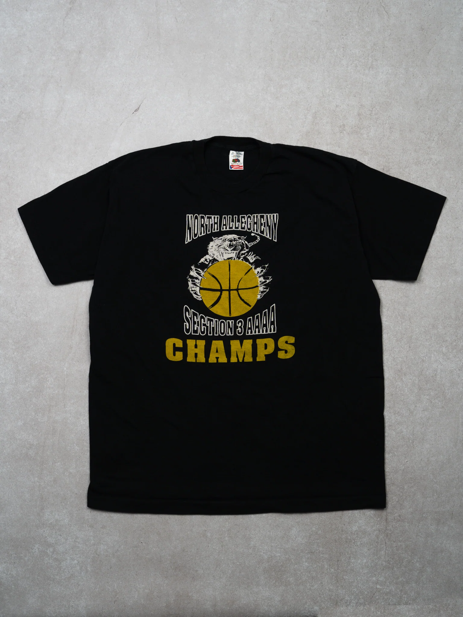 Vintage 90s Black North Allecheny Champs Single Stitch Tee (M/L)
