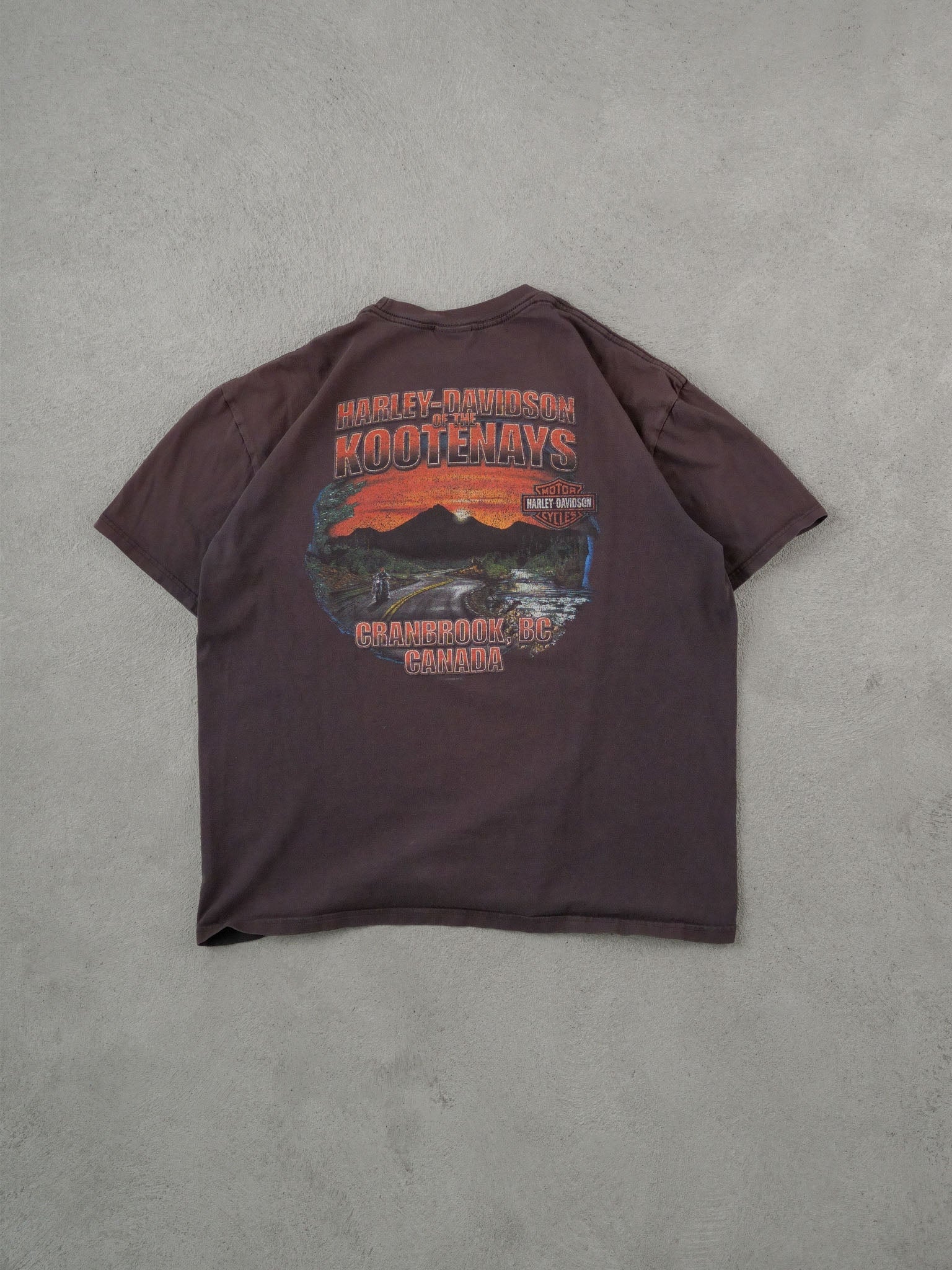 Vintage 90s Washed Black Harley Davidson American Legend Tee (M) - Image 2