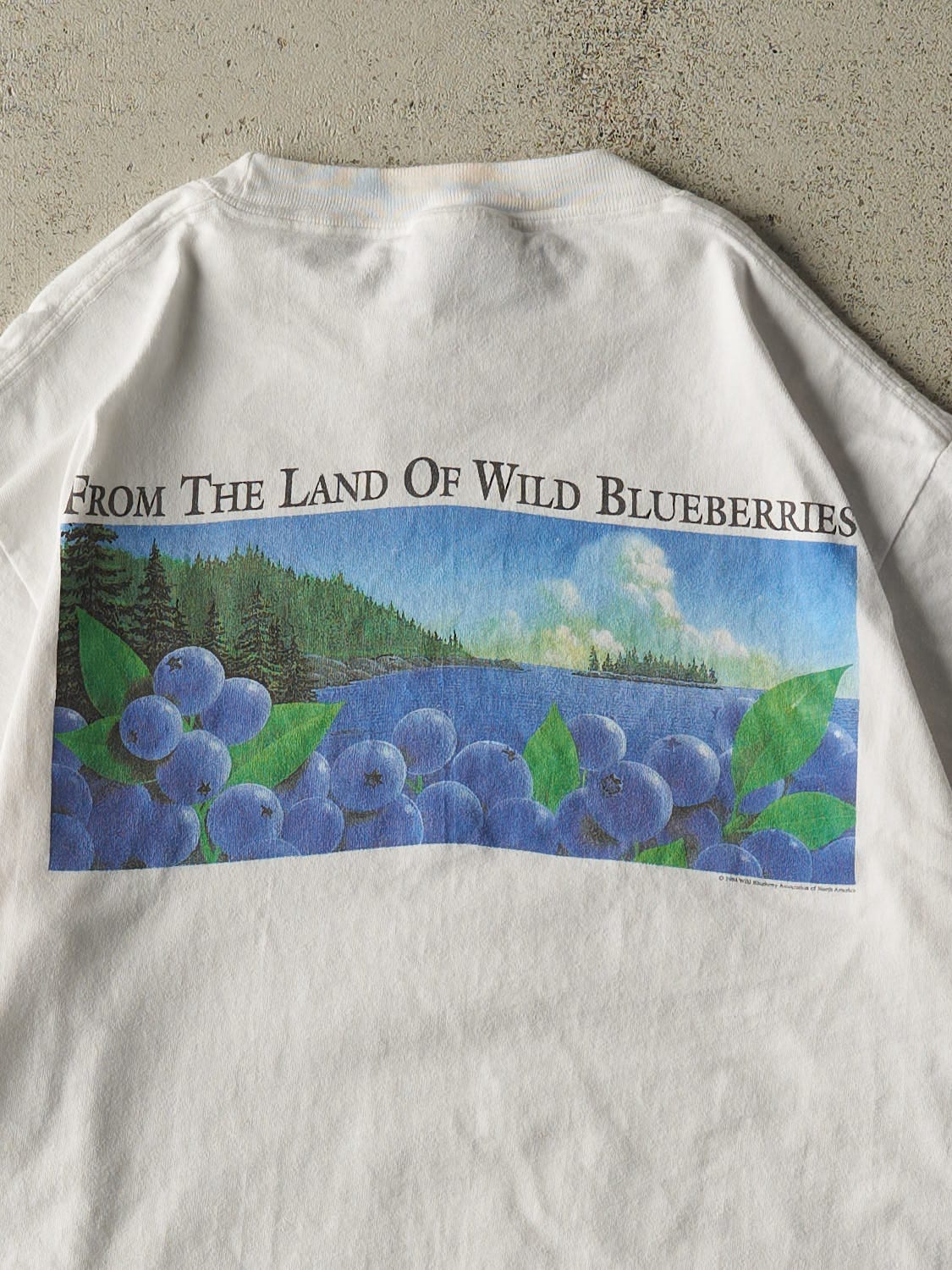 Vintage 94' White Wild Blueberry Tee (S/M) - Image 4
