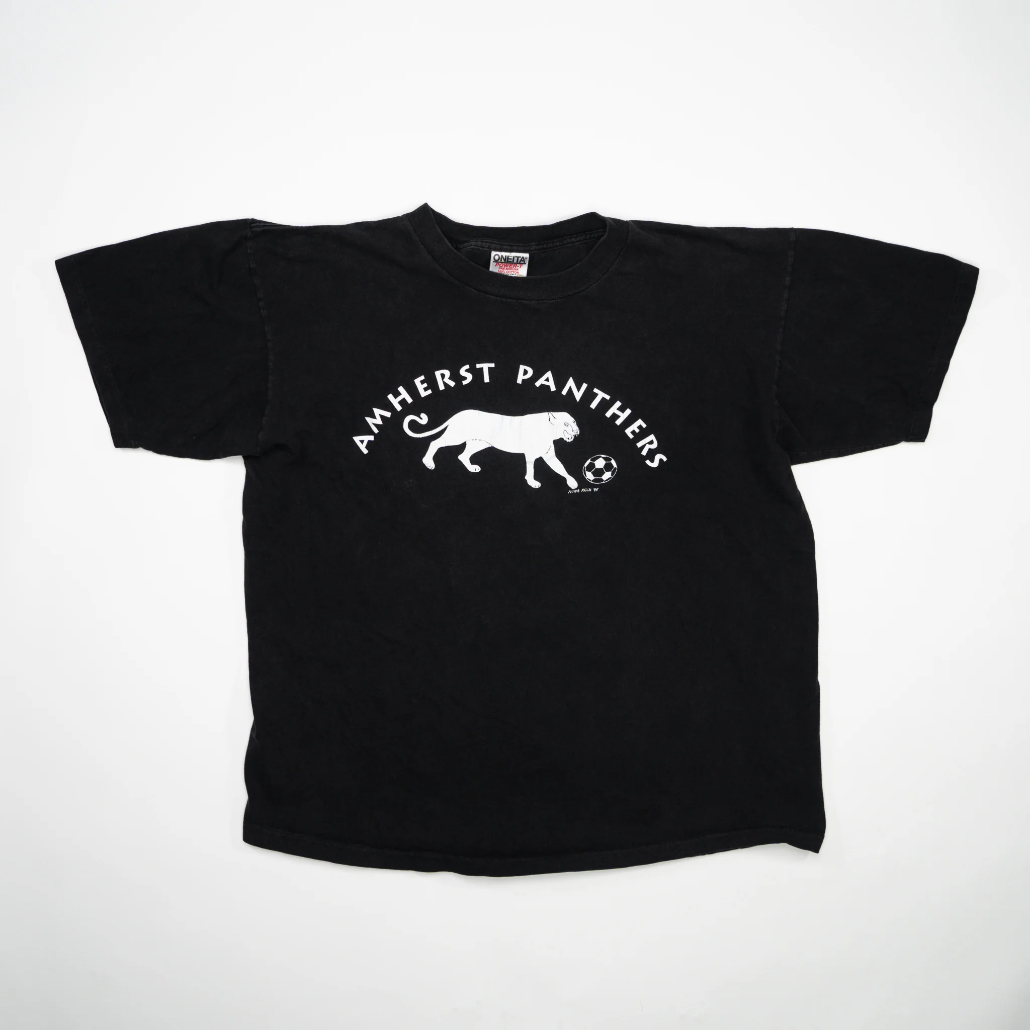 Vintage '95 Black Amherst Panthers Coach Tee (L)